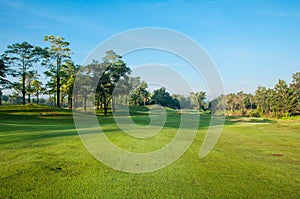 Golf course green grass with Bluesky photo