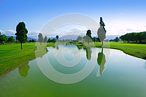 Golf course green grass field lake reflection