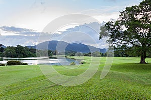 Golf course green grass field with mountain tropical forest.