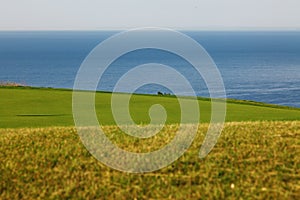 Golf course green grass near sea