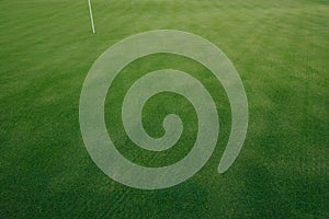 Golf course green grass texture