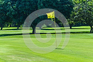 Golf Course Green Hole Yellow Flagstick