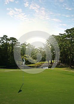 Golf course green in Oak Island , Brunswick County, North Carolina