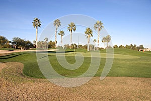 Golf Course Green in the Sun