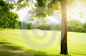 Golf course with green turf landscape. Green grass field with forest and mountain as background. Golf course at hotel or resort.