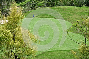 Golf Course Greens and flags