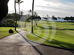 Golf course in Hawaii