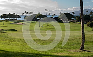 Golf course in Hawaii