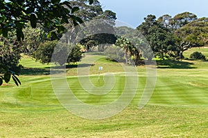 Golf Course Hole Putting Green Trees