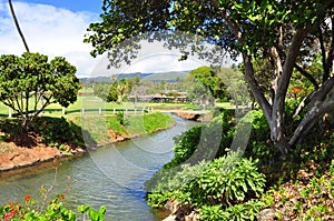 Golf course in Kaanapali Maui, Hawaii