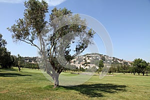 Golf course,La Sella, Denia, Alicante, Spain