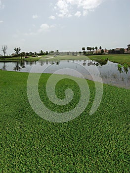Golf Course with Lake views