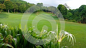 Golf course at Lam Chabang ,Pattaya photo