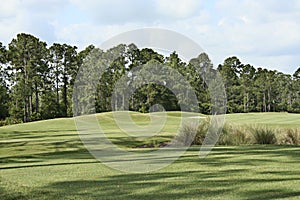 Golf Course Landscape