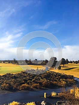 Golf Course Landscape