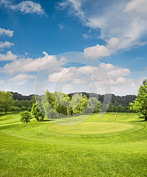 Golf course landscape. Field with green grass, trees, blue sky