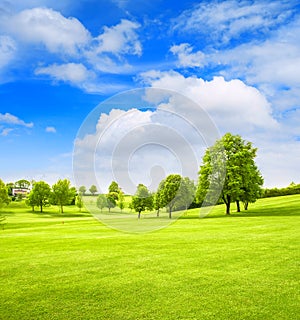 Golf course landscape. Spring field green grass blue sky