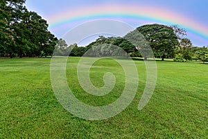 Golf course landscape with tree and rainbow