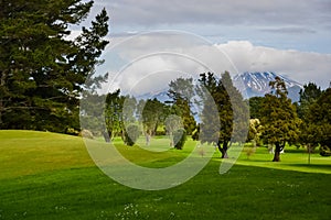Golf Course Landscaping with Trees