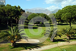 Golf course, Marbella, Spain. photo