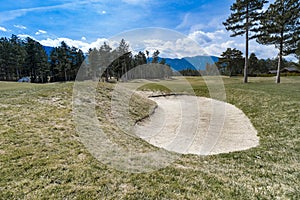 Golf course, natural green meadow with trees