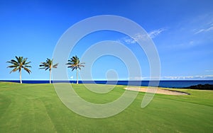 Golf Course on Ocean Coast