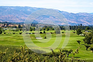 Golf course in the Okanagan valley