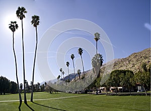 Golf Course Palm Springs