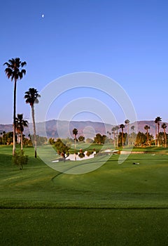 Golf Course with Palm Trees