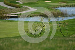 A golf course with roads, bunkers and ponds photo