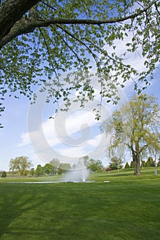 Golf Course Scenic View