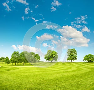 Golf course. Spring field with green grass and blue sky