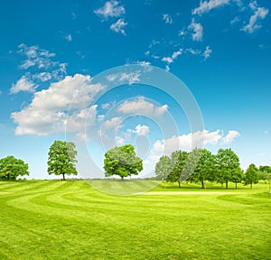 Golf course. Spring field with green grass and blue sky