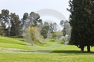 Golf course in spring