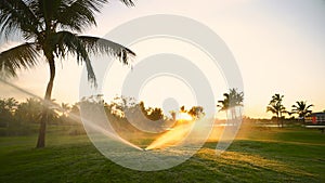 Golf course sprinkler on fairway during golden sunset