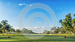 Golf course on a sunny day