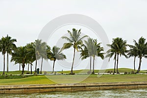 Golf course sunrise and landscaped grass. Cape Coral Florida, U