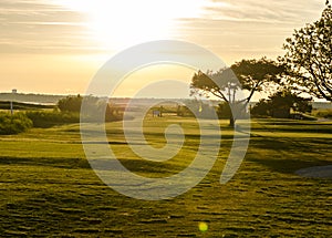 Golf course in sunset