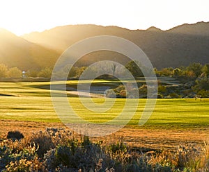 Golf Course at Sunset