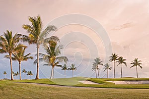 Golf course sunset with tropical palm trees