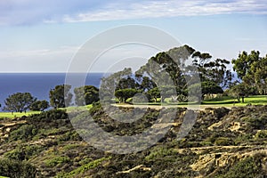 Golf Course at Torrey Pines La Jolla California USA near San Diego