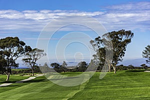 Golf Course at Torrey Pines La Jolla California USA near San Diego