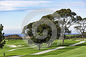 Golf Course at Torrey Pines La Jolla California USA near San Diego