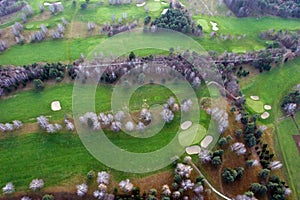 Golf course with trees from above