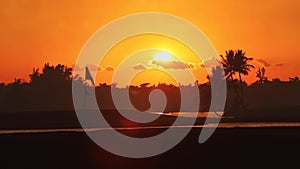 Golf course and tropical green fields palm trees, lakes during golden sunset