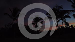 Golf course in the tropical island, beautiful sunset with palm trees silhouettes video