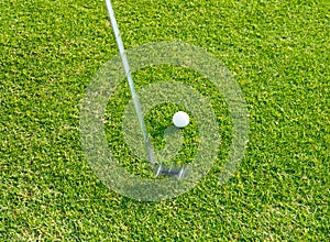 Golf course, white golf ball on tee