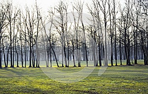 Golf court in Monza Park