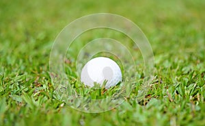 Golf crystal white ball on green grass in golf course