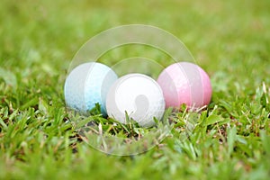 Golf crystal white, pink, and blue ball on green grass in golf course
